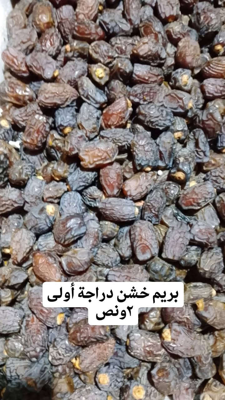 برحي يابس • عسل سدر أصلي • البصره ابو صخير