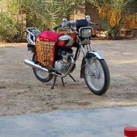 تيجر • ٢٠١٩ • بلدروز