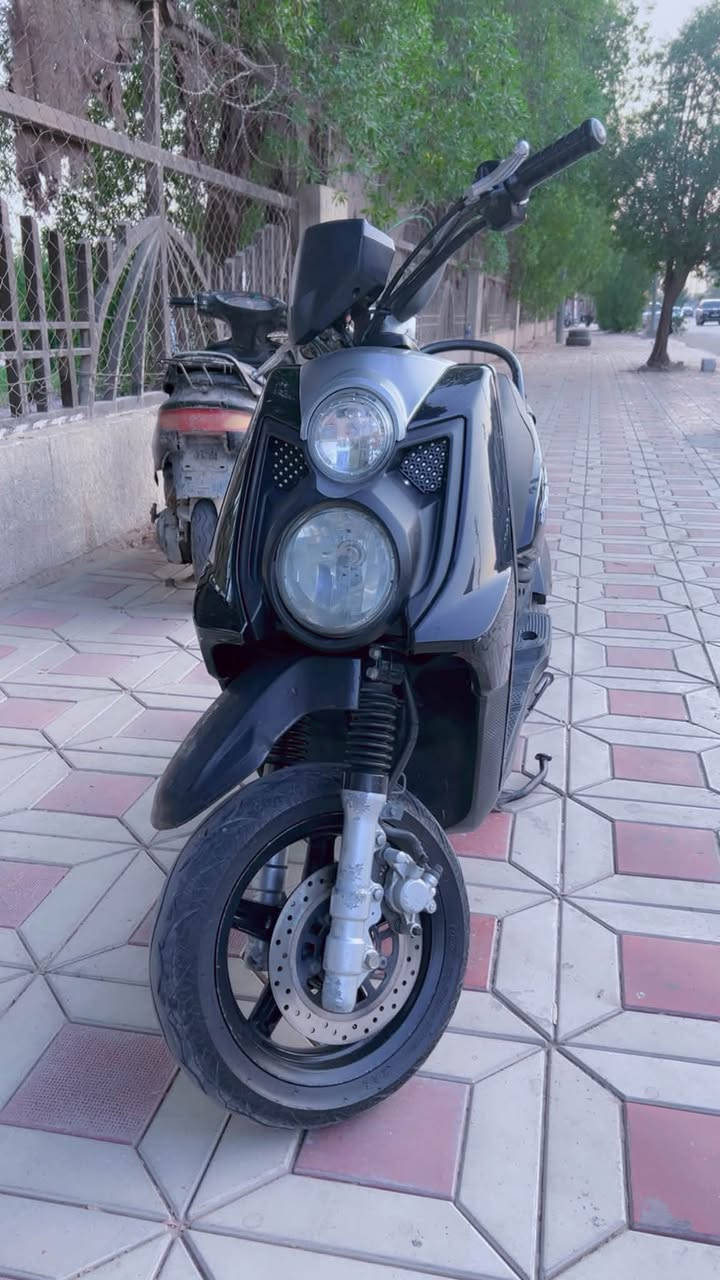 سكنس • جبلي • كوفه