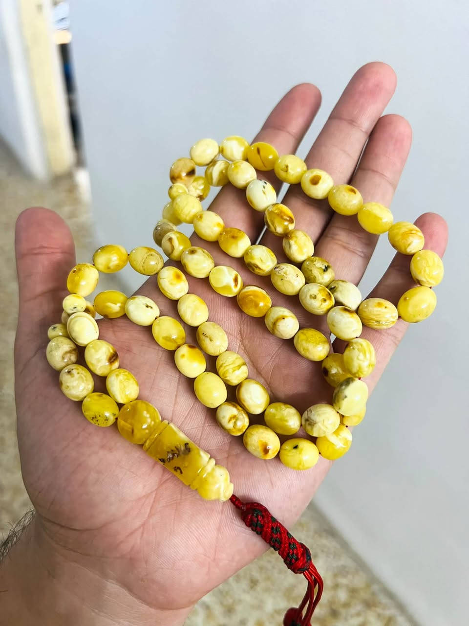 بيض حمام • ٦٥ حبه • ٤٧ غرام