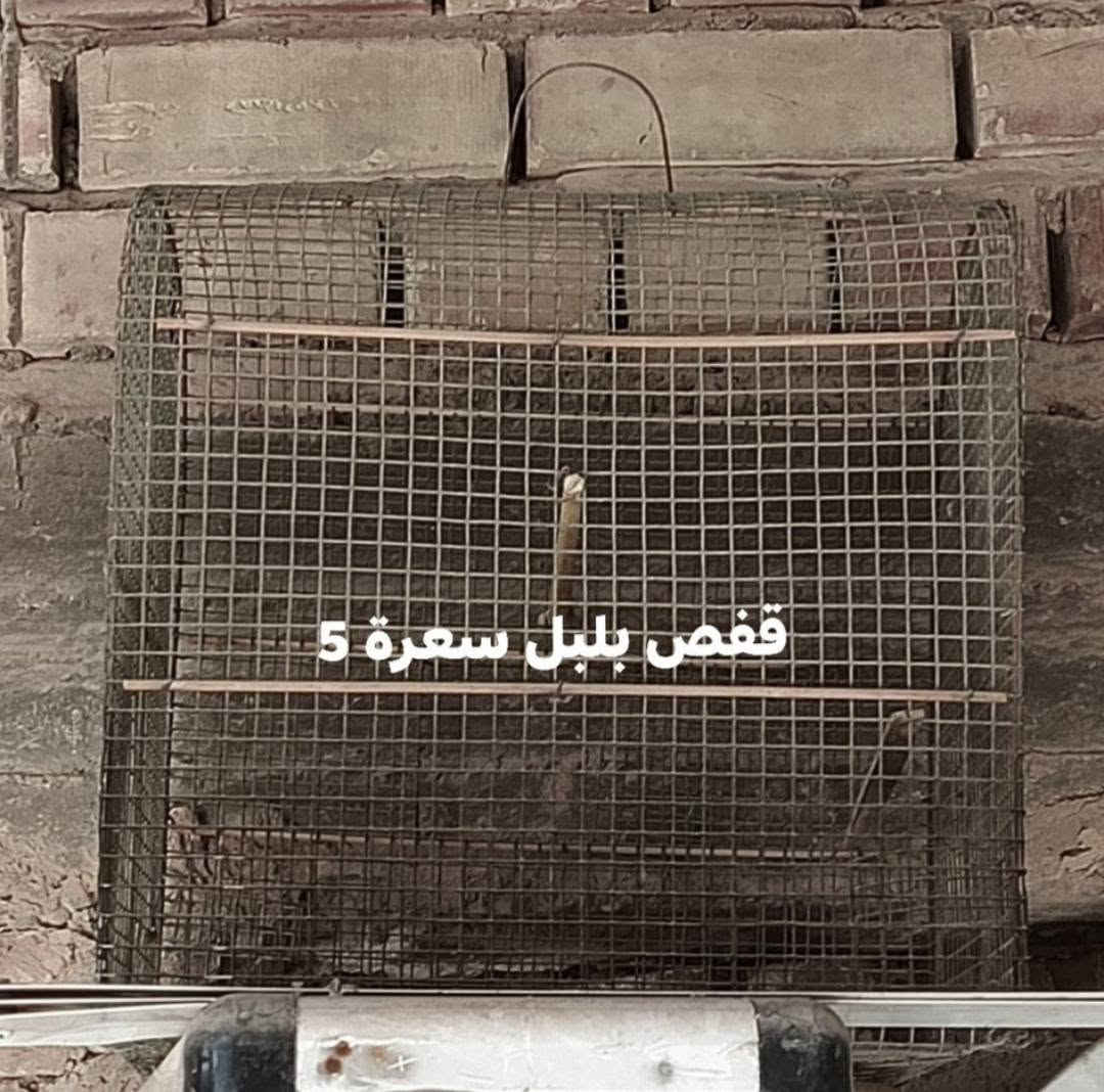 سلام عليكم غارض للبيع اي شي تحتاج تعال خاص او خابرني تدلل***********

