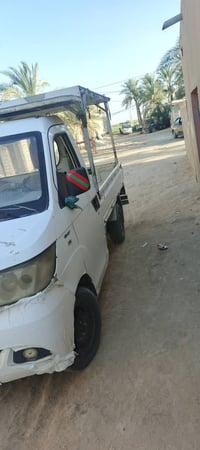 حمل شيري • ٢٠١١ • النجف