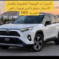 رافور هيبريد • هجينة خليجية • أربيل