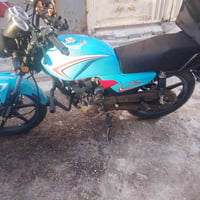 شاينك • مرقم • مديل ٢٣