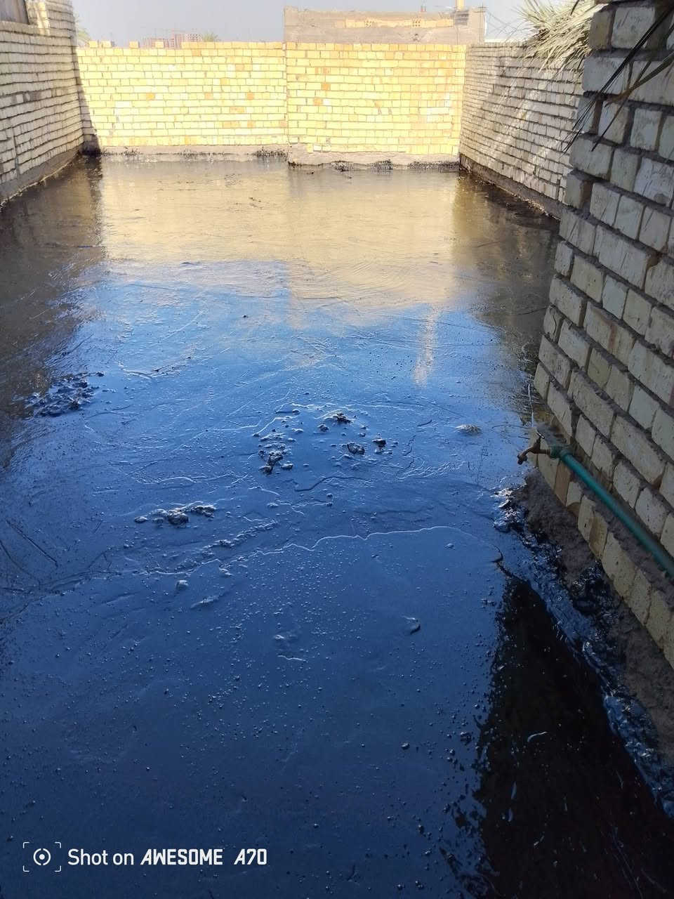 السلام عليكم اسعار تنافسيه وحتى نوعيه المواد مكتوبه وكلشي ورأي اتفاق على ضمان 
صيانه ماستك مد وكوي او قلع واضافة 

وعمل تطبيك كافه سطوح 

فلانكوت وزفت دورة 

نايلون زراعي وحسب الطلب 

عازل حراري فلين فوم او بدون

زميج سده 

وشتايكر بغداد درجه اولى يوجد 3 ونص سانتيم و 4 

80*80 

ماستك بيت ثكب 

وما ننسة الخبن وعمل كامل 

للتواصل اتصل

***********

***********
