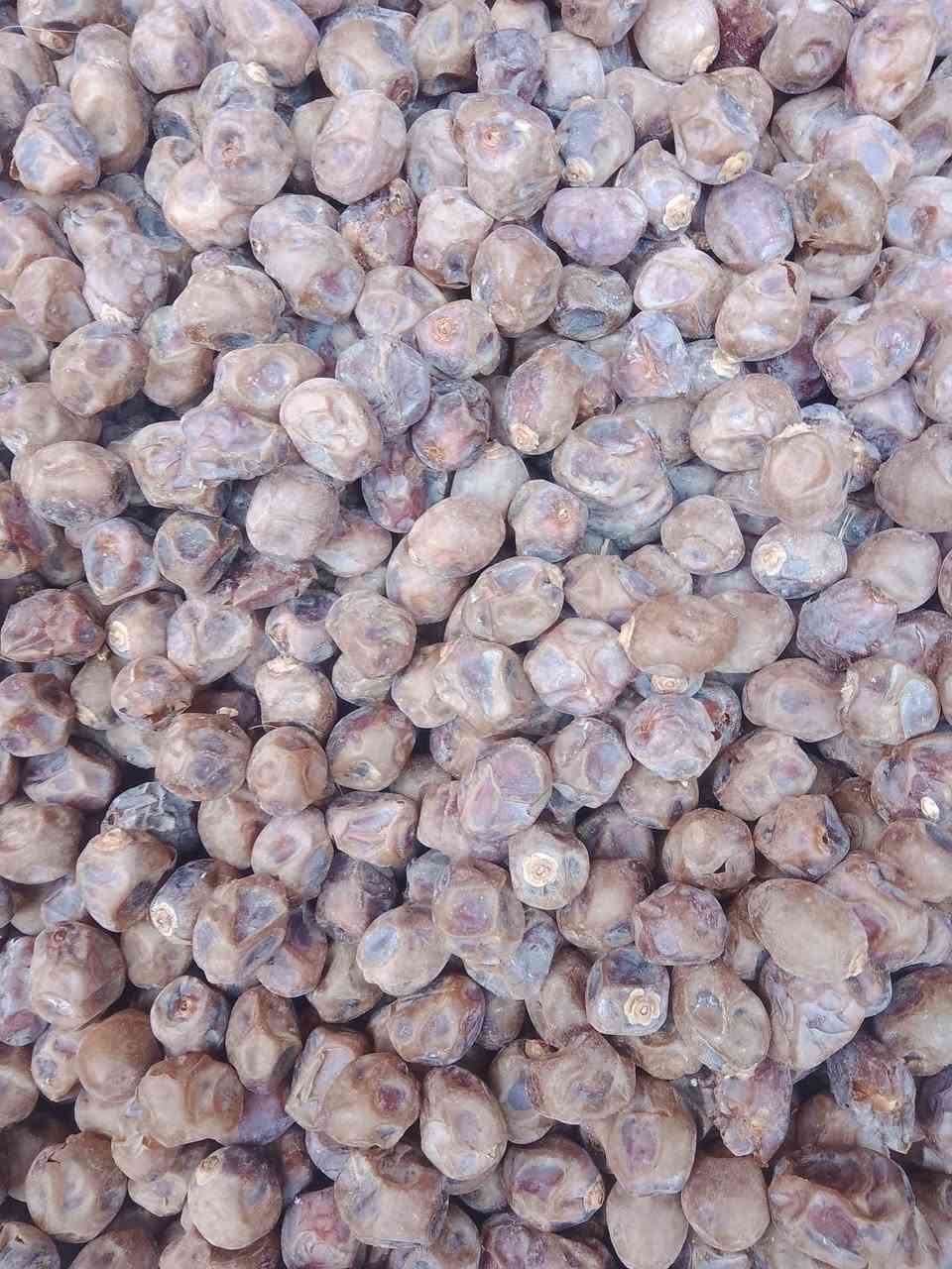 تمر برحي • جملة • نص طن