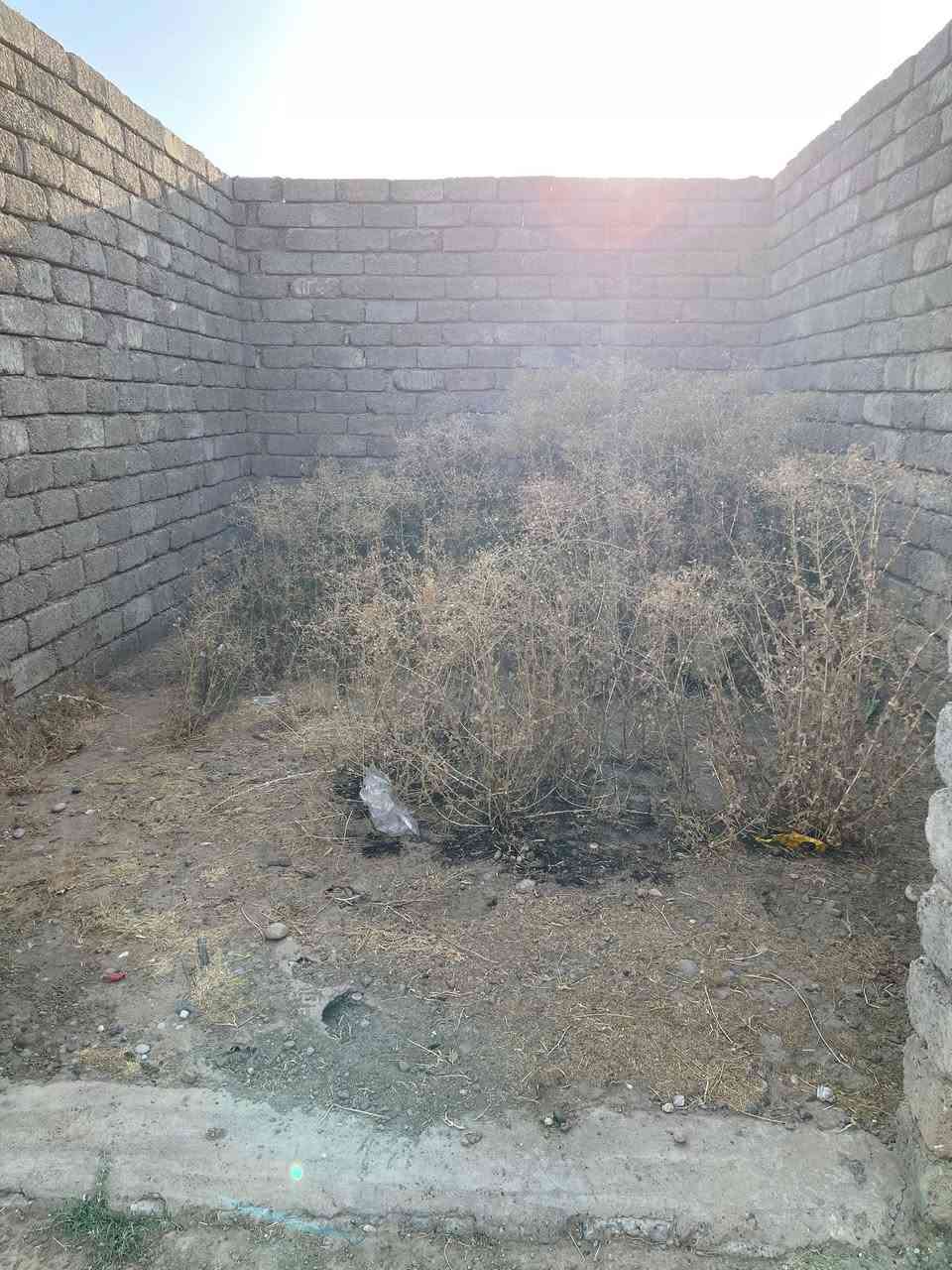 السلام عليكم ورحمة الله وبركاته :
@​نقدم لكم خدمة تنظيف وتنسيق الحدائق إزالة كاملة للأشواك والأعشاب الضارة 
:اجعل حديقتك تتنفس من جديد
:أسعار مناسبة ومنافسة
:​📞 للتواصل والاستفسار: [***********]
📥 أو أرسل لنا رسالة عبر الصفحة مباشرة لحجز موعدك!
