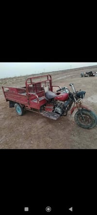 بدون سلطان • مكفول • عشاير