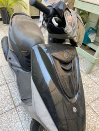 رامبا • بغبغاء • نظيفه