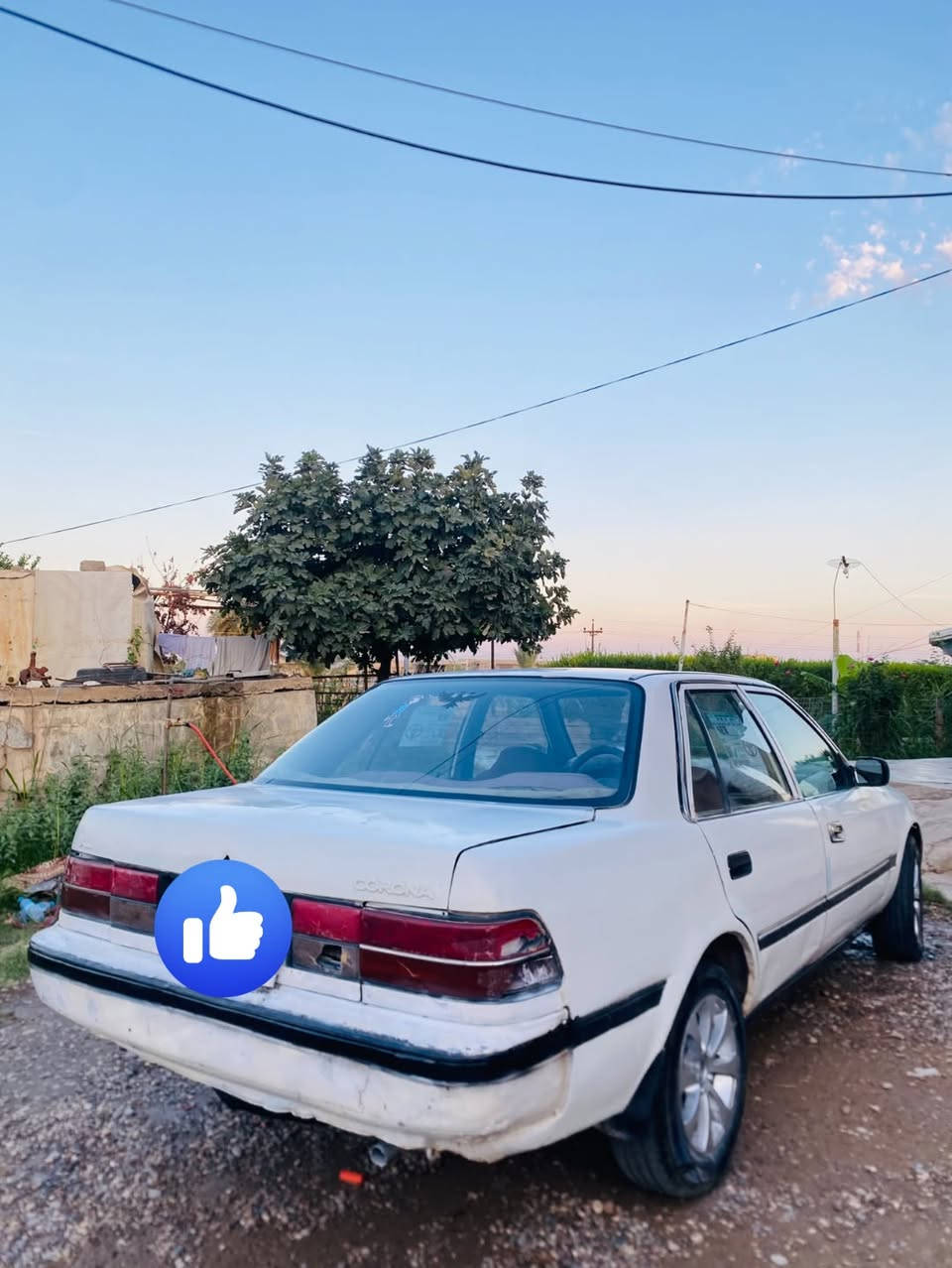 كارينا • ١٩٨٨ • رقم صلاح الدين