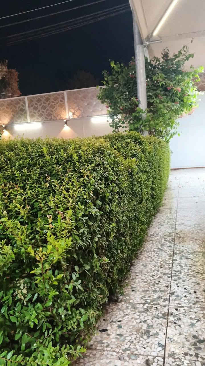 هندسة وديكورات الحدائق💐🌺 والنافورات⛲ والشلالات وزراعة الثيل⛰️ والنخيل🏝وقص الاشجار  مستعدون للعمل في🔴جميع المحافظات🇮🇶 والمنازل🏫 والمتنزهات💒 ودوائر الدولة🏢 وهذهي بعض الصور والفيديوهات من أعمالنا للتفاصيل اكثر الاتصال ***********📞📞او المراسلة على واتساب عنوانه الديوانيه مجمع التقيه

نص مكتوب في الصور:
- *********** ***********
- O HONOR X9b 108MP Ultra-Sensing Camera
- @hemo___24
