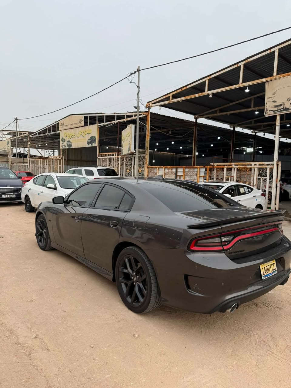 جارجر R/T. 2023
محرك 5700 بلاد حتى مدفوع كمرككه ٨ سلند 
تدفئه بالكشنات الاماميه
شاشه كبيره حجم 8.5 جميع الاوبشنات مفتوحه
LAUNCH نظام
DRIVE MODES نظام
تدفئه استرين
كشنات مخمل حضن
كشن كهرباء
حساسات خلفيه
ويل حجم 20
نظام سوبر تراك باك
كشافات زينون
كامره خلفيه دواره فول HD
كزوزات بلاد ودبات سود اصل
ولف حماوه ريسنك
مودات قياده سبورت 
نظام تراكشن اكسل مقفول
اخوان اغلب مواصفات كتبتها للتوضيح والسياره مكفوله من اي نقص الجديد ال سياره٢٠٢٣ اصل وصور ضرر موجوده الي يحب يراسلني ورقم شاصي موجود وين ميعجبك افحص فقط بس بنيد وباقي كفاله ماشية 18mi حقيقي 
عامه
السياره عارضه بسعر حلو مال بيع للاستفار  *********** مكان السياره ناصريه مركز
