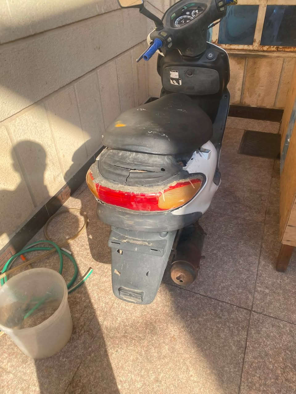 دراجه فراشه دولفين البيع دراجه ناعمه كلشي شغال بيه نكره سلف حلوه وكامله سعر 350عنواني البصره القبله رقمي ***********
