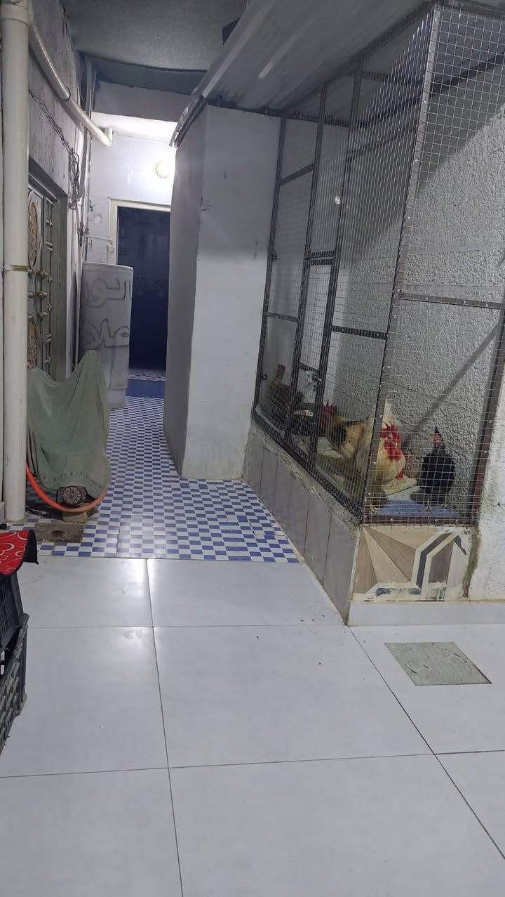 السلام عليكم
بيت للبيع مساحته 150 متر

العقار طابو ملك صرف

سعره 95 وبي مجال

يحتوي البيت على صاله كبيره + مطبخ

3 غرف غرفتين 4 في 5 والثالثه 4 في 7

صحيات خارجيه

كراج كبير + غرفه فوك البيت والسطح شتايكر غراض البيت از يدهن نعوفهن اغلبيتهن جدد كاونتر + كيزرات + ماطورات ماي حلو اوماي بير + تانكيات + سبالت + بنكات + ثريات كابرد للصاله بعده جديد

العنوان باب الخان  قريب على مرطبات بهاء بالفرع

البي حسينية الإمام العسكري ( ع )

اي استفسار اتصل ***********
