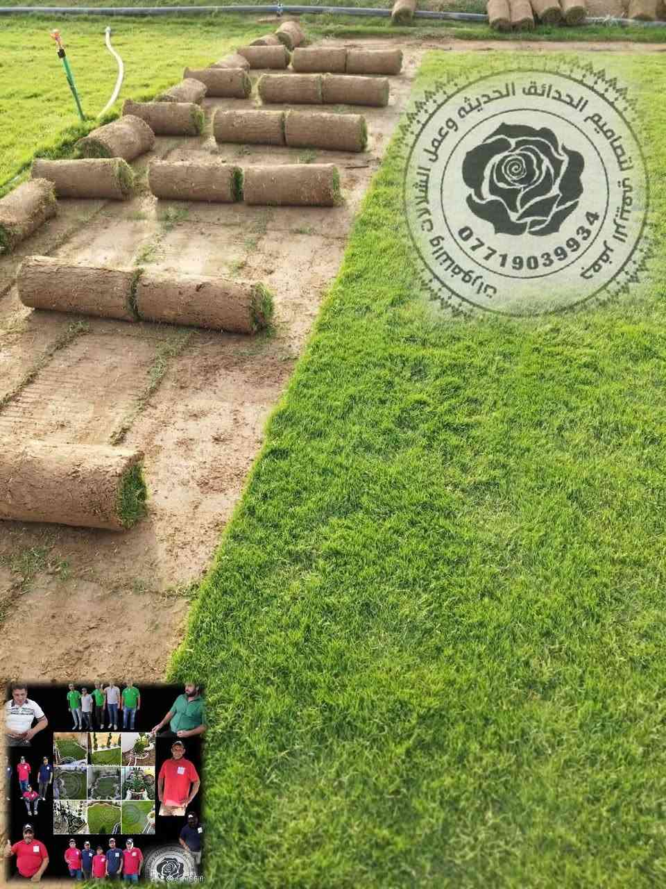 الثيل الأمريكي رقم واحد شتاء صيف حصريا مع كادر عمل جعفر الربيعي للحجز والاستفسار الاتصال على الرقم التالي/***********
