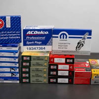 بلكات أمريكية • أصلي وتجاري • توصيل