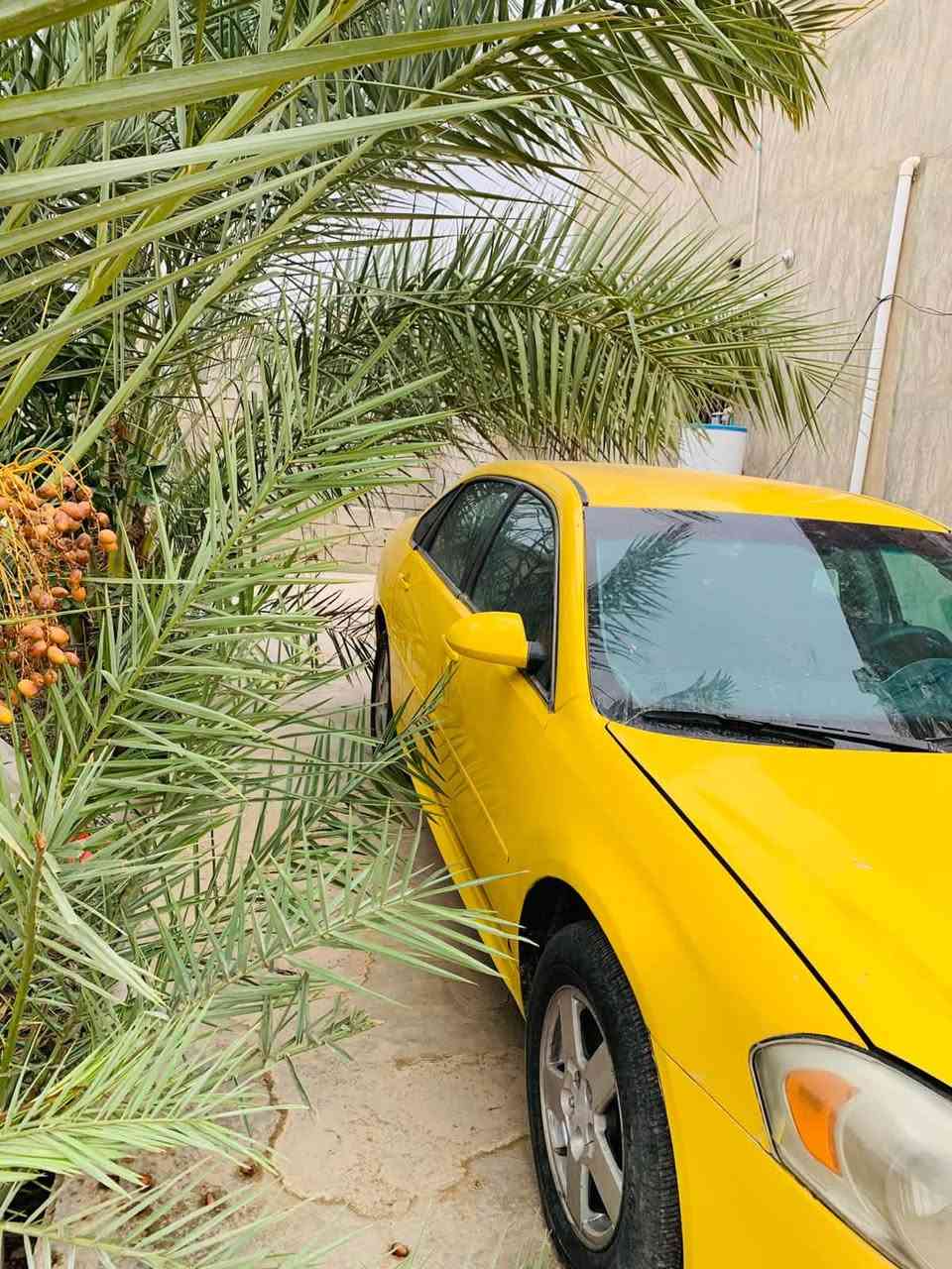 امباله • ٢٠٠٩ • رقم نينوى