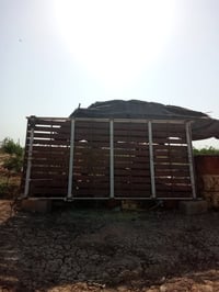 سوبايه نيسان • جديدة • المحمودية