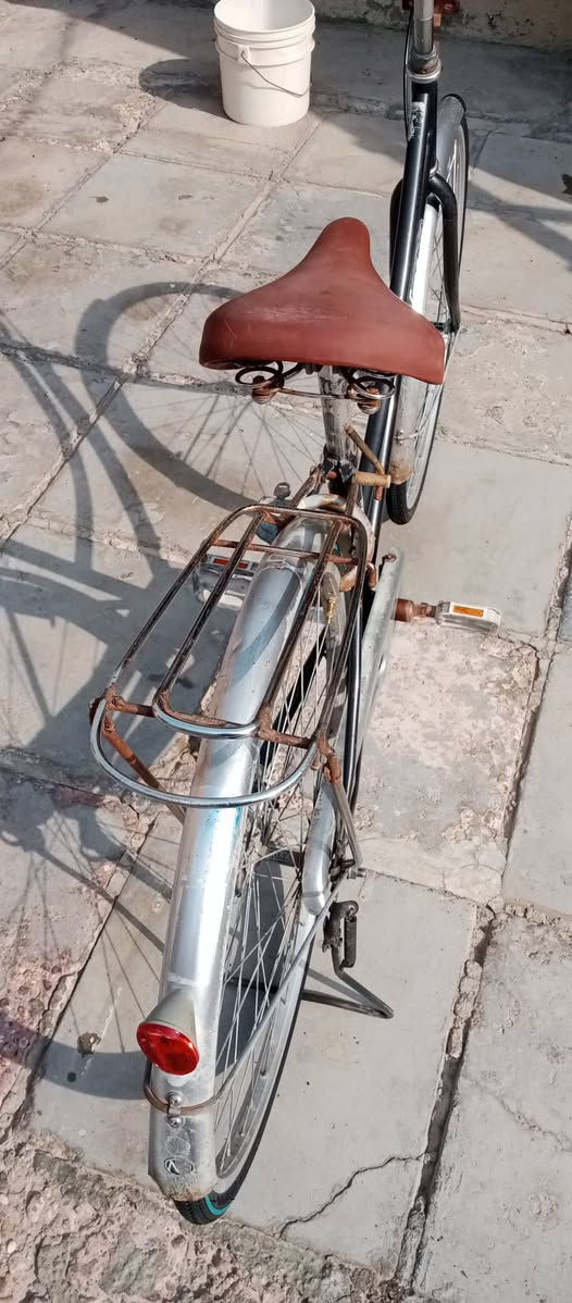 باسكل • مقاس ٢٧ • أغراض كاملة