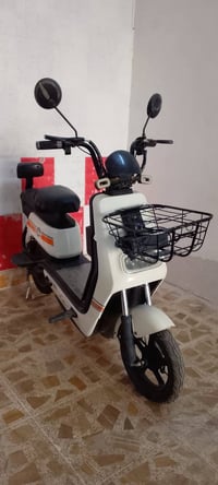 جف تراب