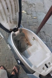 ريان باتمان • بغداد الغزالية • بسط كبير