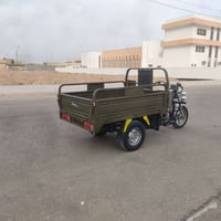 ستوته • ٢٠١٩ • اوراق صولي