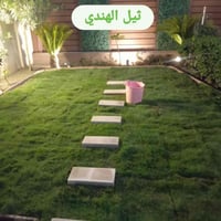 ثيل هندي • دائم الخضره • زراعة ثيل