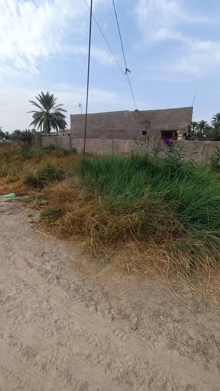 المسيب • ٢٠٠م • سند ٢٥