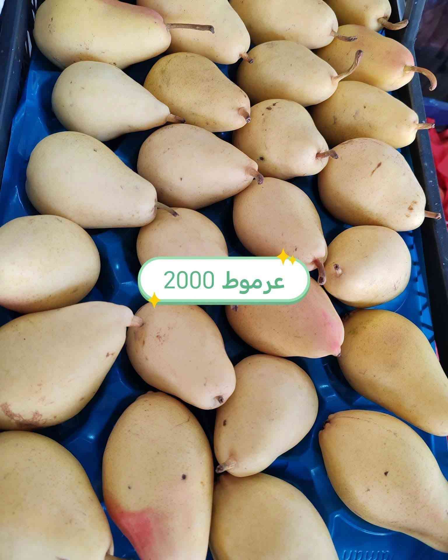 الفلوجة الجغيفي الثانية • توصيل مجاني • خضار وفاكهة