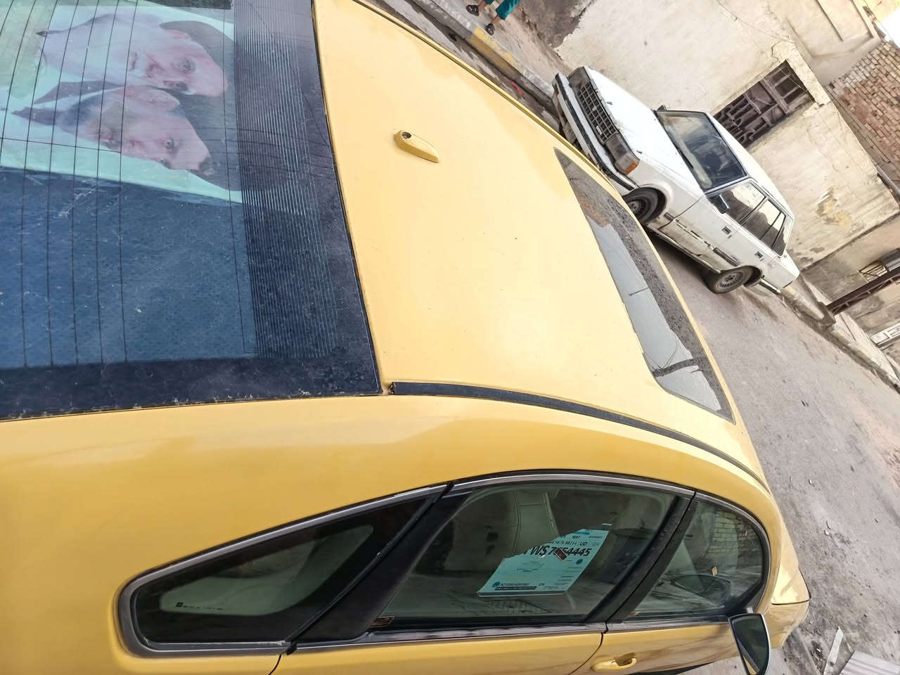 امبالا • ٢٠٠٩ • رقم بغداد