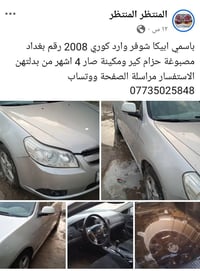 ابيكا شوفر • ٢٠٠٨ • وارد كوري