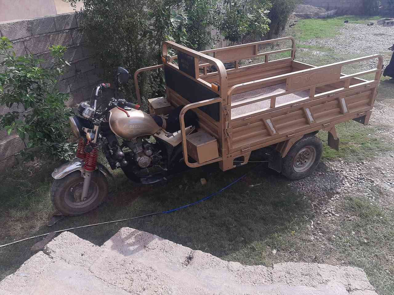ستوته • ذهبي • موديل ٢١