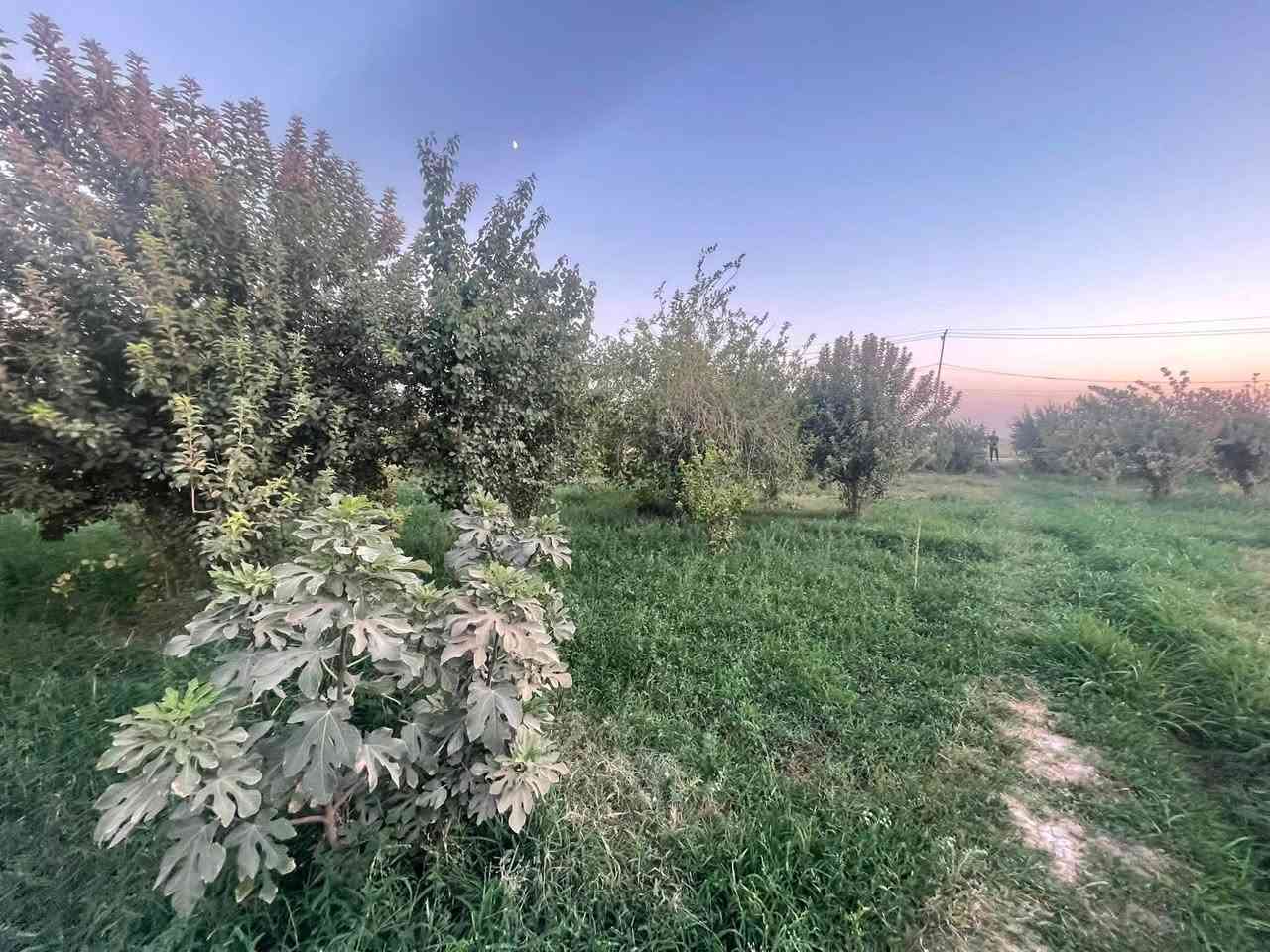 السلام عليكم مزرعه للبيع طابو زراعي (مساحه  دونم )(ماء 💧 بير  حلو + مي اساله  كهرباء ⚡️ ع تبليط بيه حضيره حيوانات  عنوان شهابي  خارج موضفين    >< سعر 50 ()()()قابل للتفاوض لاستفسار ‭***********‬
