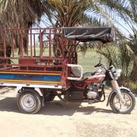ستوته • ٢٠٢١ • مسجله