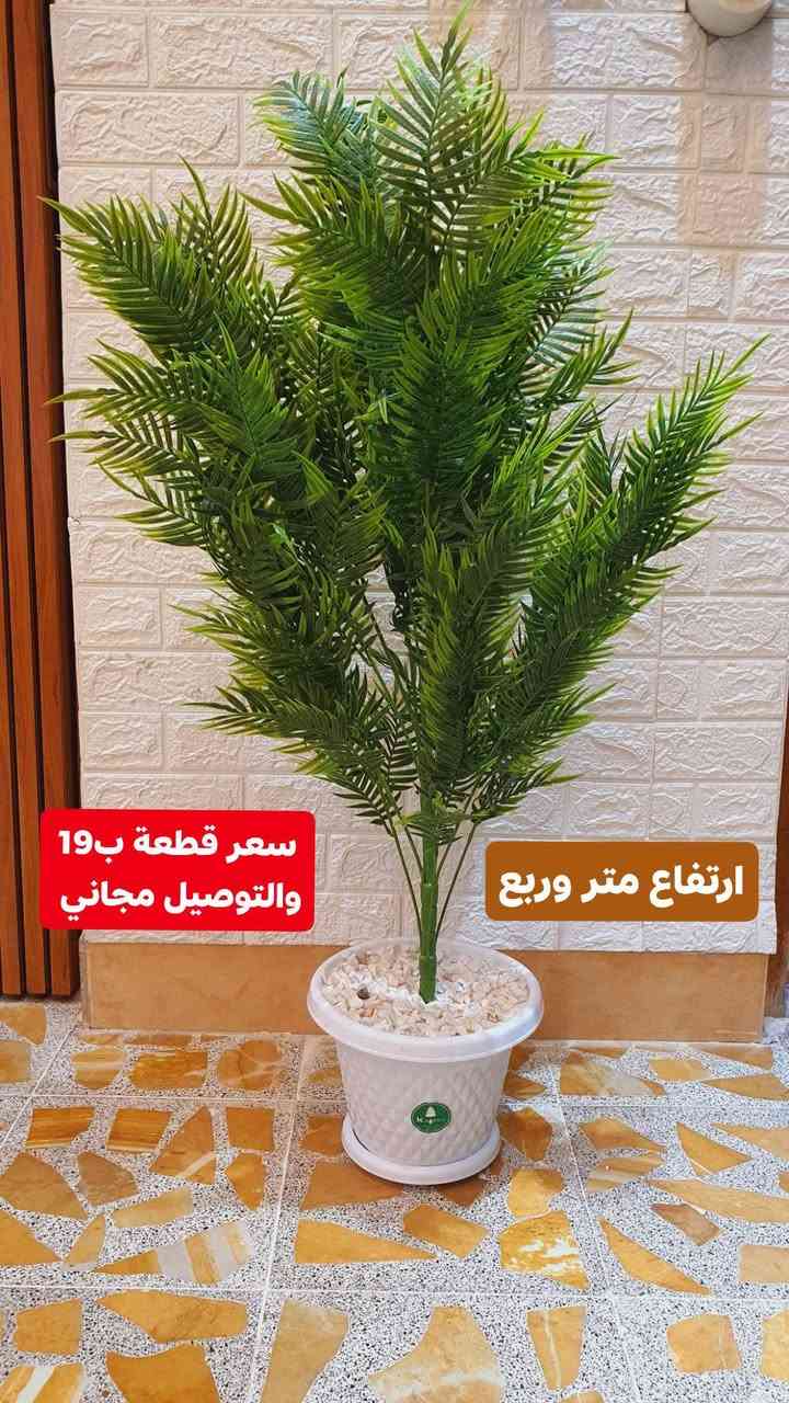 عروض شهر #العاشر

نص مكتوب في الصور:
- سيت 6 قطع ب24.000 والتوصيل مجاني
- سعر قطعة ب 19 والتوصيل مجاني ارتفاع متر وربع