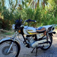 تايكر سولنك • موديل 24 • اوراق كامله