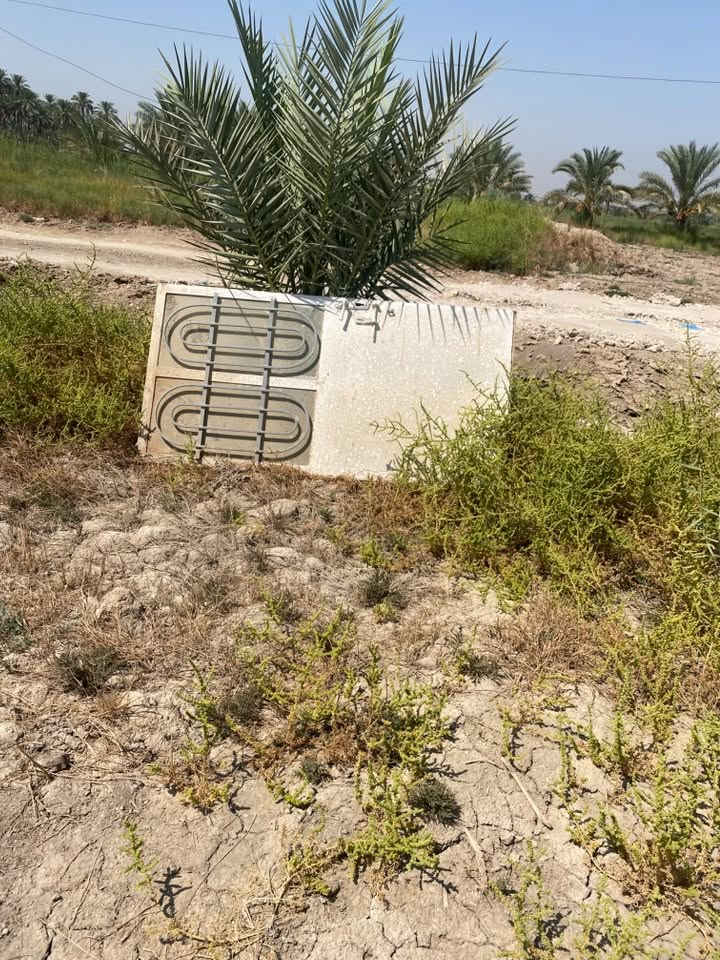 بيبان بي بي سي تزكام حيل نضيفات وباب حديد تلاثتهن ب150 مكانه بلحمزه ***********
