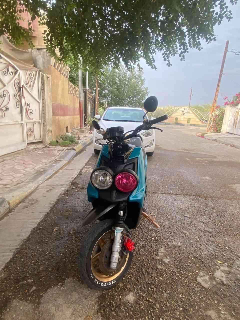 سكنس جبلي • كامله • تزويد