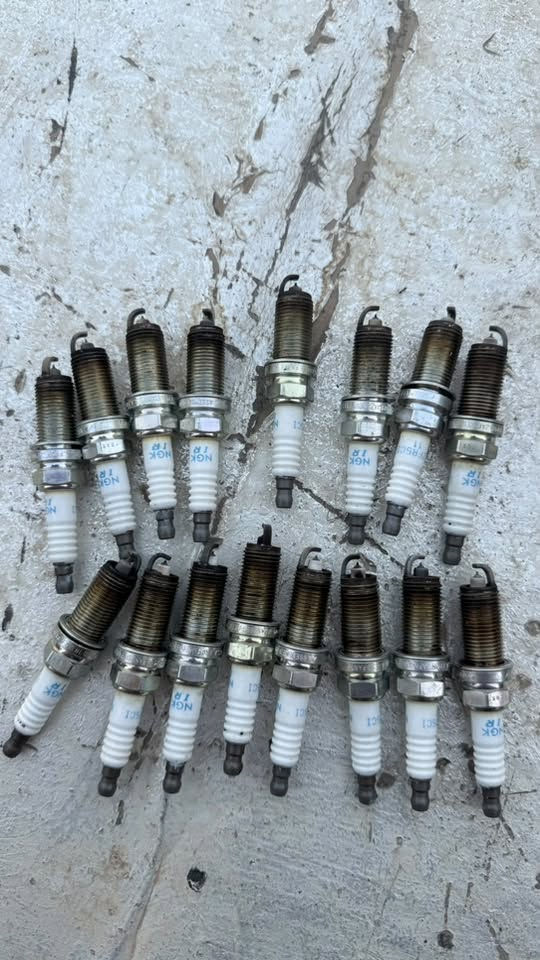 بلكات • جناح • شبجه