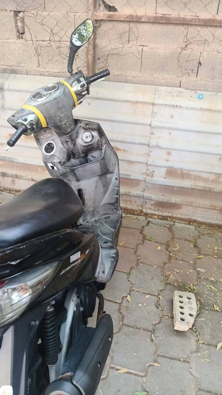 سكنس فحل لبيع مكفول كفاله عامه بس كابريتر يريدله تنظيف السعر 900وبيه مجال العنواني الطالبية ***********
