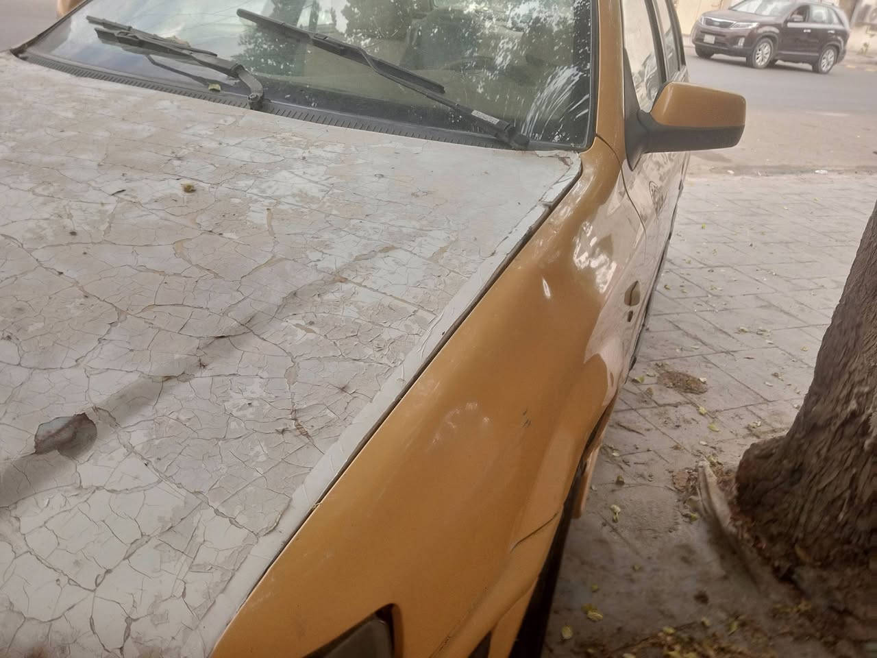 سمند للبيع كشر كبال عينك مكينه وكير بكاجيو اوتماتيك ابيع برميل واربع تايرات بدون مكينه تبخير سنويه بلهيئه مال نهظه ماخذيه رقم بغداد الماني الي ريده هسه يجي ياخذه سعره (مليون )مكاني بغداد كراده (***********)
