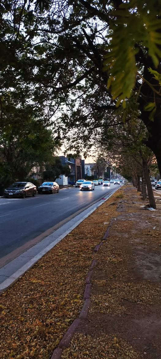 ◀ فرصة استثمارية في المنصور 📍
عقار للبيع بموقع تجاري حيوي (ملك صرف)
– بمساحة 357m وواجهة 12m
البناء الحالي قديم مرمم 
• ويتكون من طابقين؛ الأرضي يضم غرفة وصالة واستقبال، والثاني يحتوي على 5 غرف نوم، مع توفر كافة الخدمات.

☗ القيمة الحقيقية للعقار تكمن في موقعه المباشر على شارع تجاري، مما يجعله مهيأً ومثالياً لإنشاء بناية تجارية.

📞 للتواصل والاستفسار: 
*********** ➦
*********** ➦
