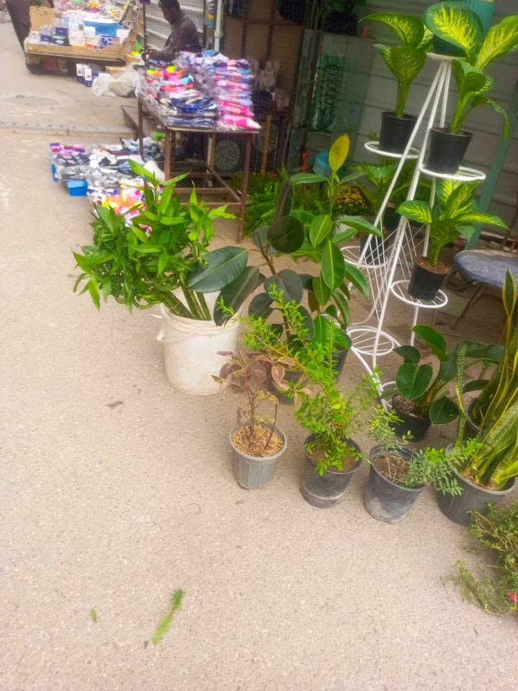ورود للبيع • بعقوبة • مرطبات الامير
