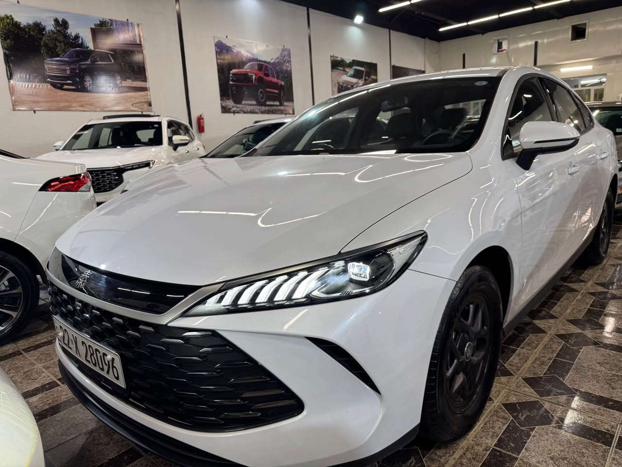 Byd quin plus 2025

9000 رويشتووة 
1 بست بةس كارتى هةية
بةناوى خومة
نرخى خلاسى 132 
تكاية بو معامةلة پةيوةندى مةكة
***********
ناونيشان اربيل أربيل, العراق
