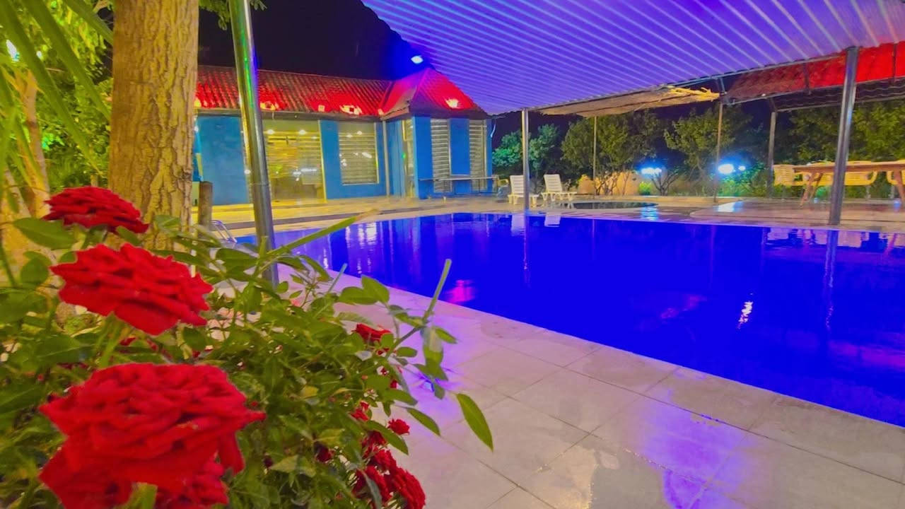 مزرعة الجبل للحجز *********** سعر الشفت بعرض    150
