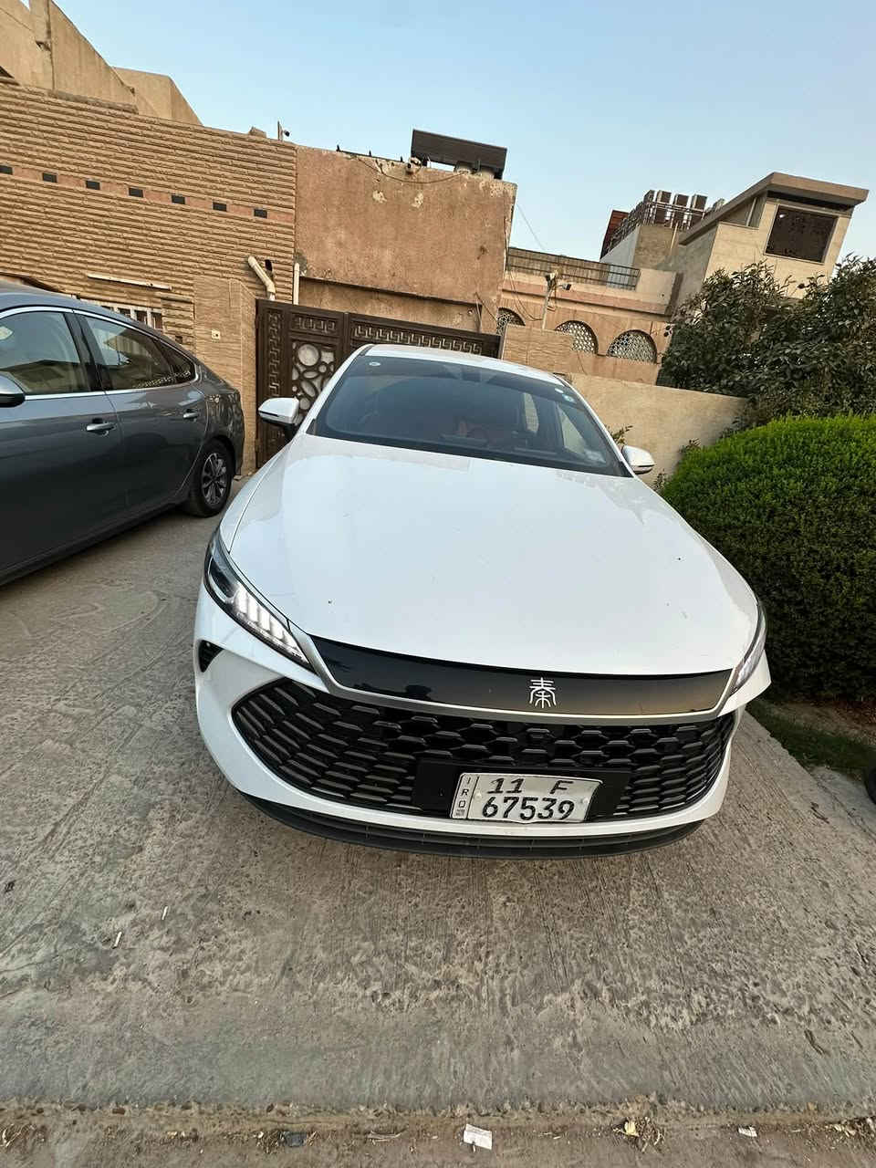 قين بلس • ٢٠٢٥ • ٨٠٠٠