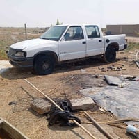 بينك شوفر • مانويل • بصرة - بني منصور