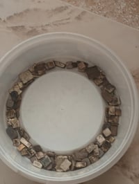 فضة خبط • كونتكترات • قواطع