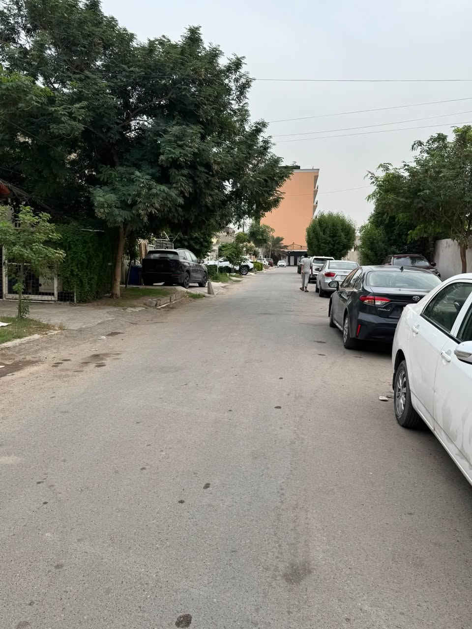 دار نظيفة • شارع فلسطين • ١٢٥م