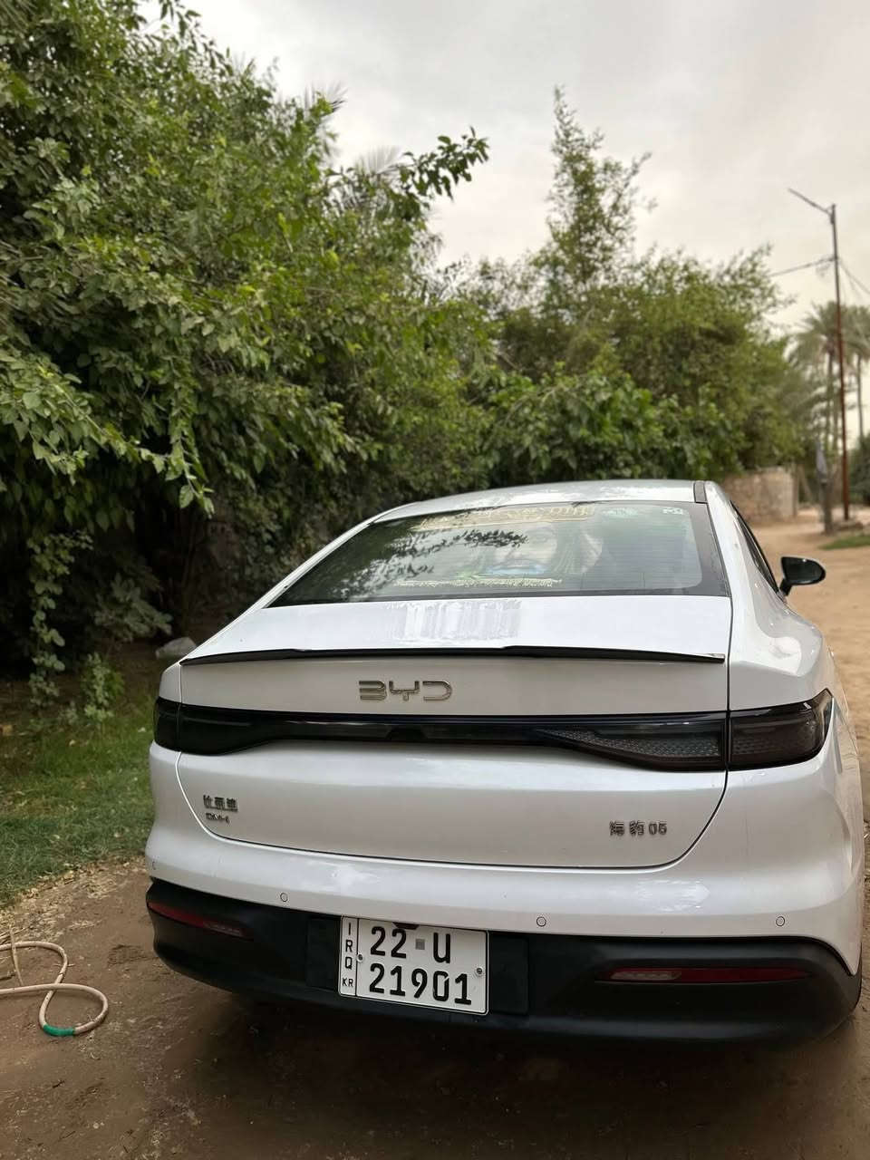 بي واي دي سيل • ٢٠٢٥ • ٣٨٠٠٠ كم